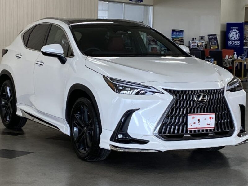 NX 330h F Sport