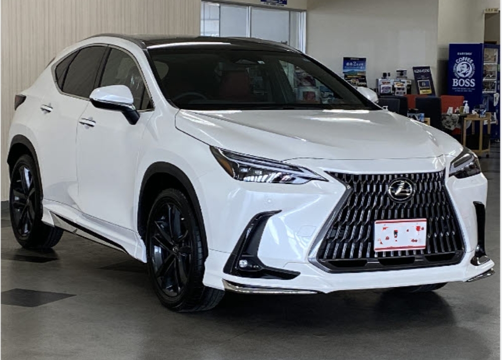 NX 330h F Sport