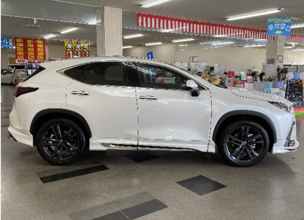 NX 330h F Sport