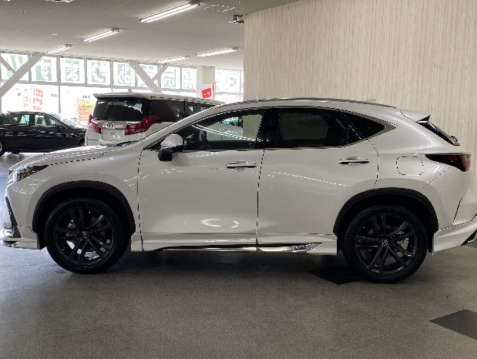 NX 330h F Sport