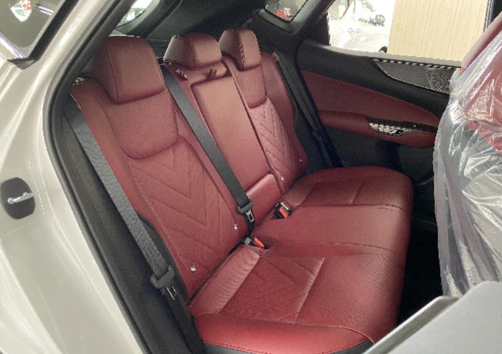 NX 330h F Sport